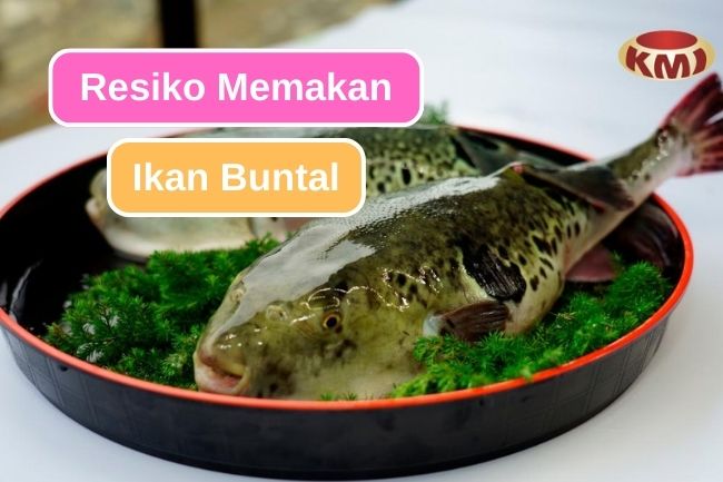 Waspada Terhadap Resiko Memakan Ikan Buntal